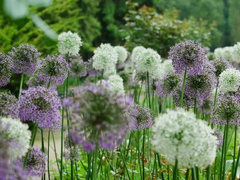 Much different sharpness and blurring areas give the picture dynamism. Stock Photos