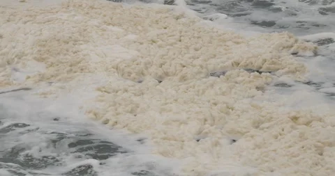 Mucilage Stock Footage 331656477