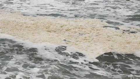 Mucilage Stock Footage 332614799