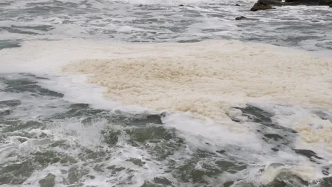 Mucilage Vídeo Stock 332844510