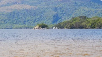 Muckross Lake, Lakes of Killarney, Killarney National Park, County Kerry Stock Footage 86091709