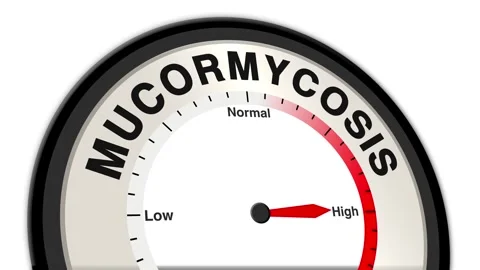 Mucormycosis Text or Word Level Low Normal High - Barometer or Tachometer Stock Footage 308607673
