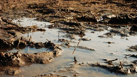 Mud 2 Stockbeeldmateriaal 165868055