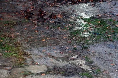 Mud and a large puddle in rainy weather Stock Photos