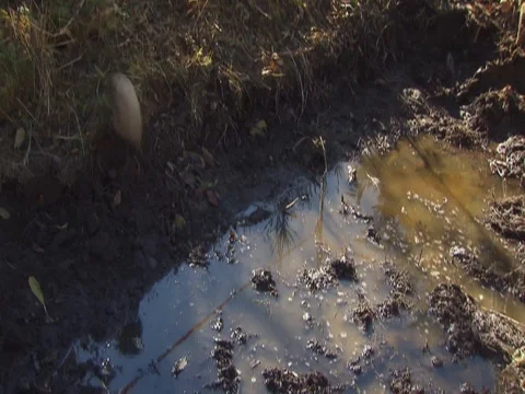 Mud and Muddy Pool with stone falls down to ugly water pool Stock Footage 124623590