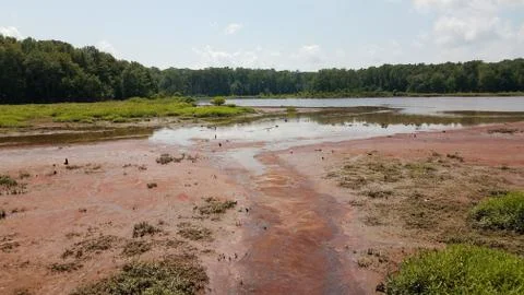 Mud and red algae bloom in water in wetland Stock Photos