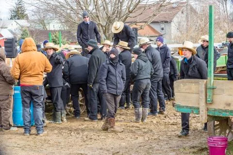 Mud Auction Stock Photos