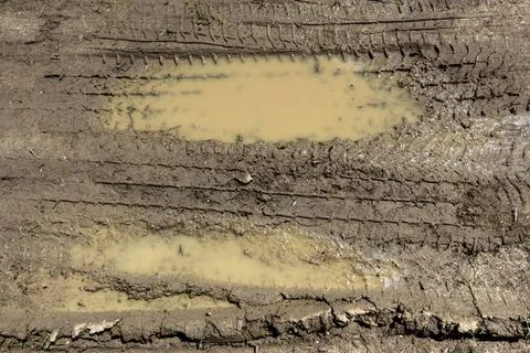 Mud background Texture of mud. Wet dirt. Puddle. Copyright: xZoonar.com/Ge... Stock Photos