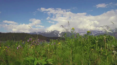 Mud Bay Reveal Clouds and Mountains Stock Footage 24951201