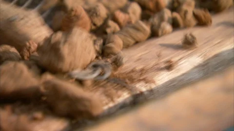 Mud being sieved at construction site Vídeos de archivo 88544657