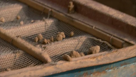 Mud being sieved in wheelbarrow at construction site Видео 88826872