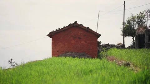 Mud brick house among wheat crops in rural Nepal Stock Footage 342136196