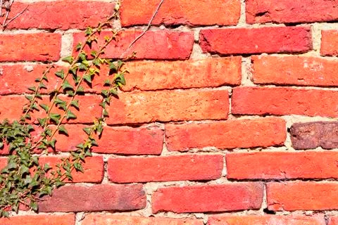 Mud brick wall texture Stock Photos