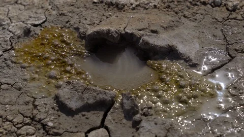 Mud Bubbles Stock Footage 123136516