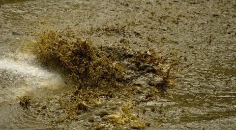 Mud cleaning Stock Photos