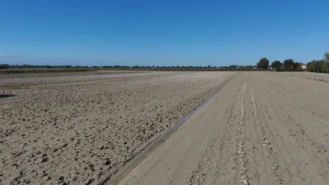 Mud-covered Agricultural Fields after the Flood Stock Footage 287483146
