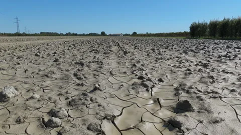 Mud-covered Agricultural Fields after the Flood, Dolly Shot Stock Footage 287484756
