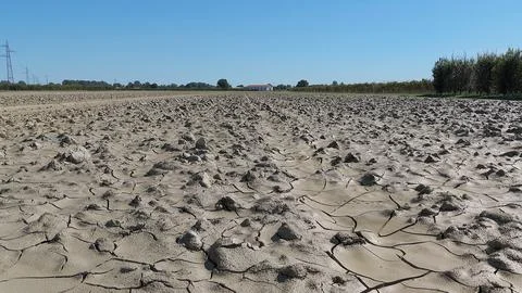 Mud-covered Agricultural Fields after the Flood Stock Photos