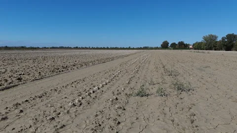 Mud-covered Agricultural Fields, Flood aftermath Stock Footage 287483392