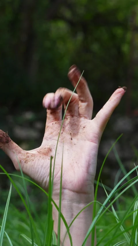 Mud covered hand emerging from meadow grass and sinking back down Stock Footage 347243223