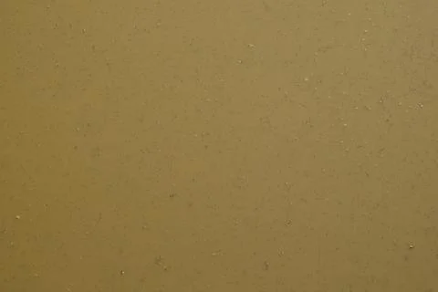 Mud-covered water surface. Cloudy brown slurry. Background. Swampy water. Stock Photos