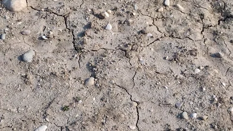 Mud Cracks on Dry Soil Texture Stock Footage 307594166