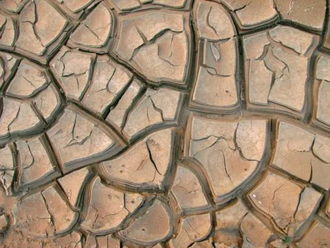 Mud-cracks Foto stock