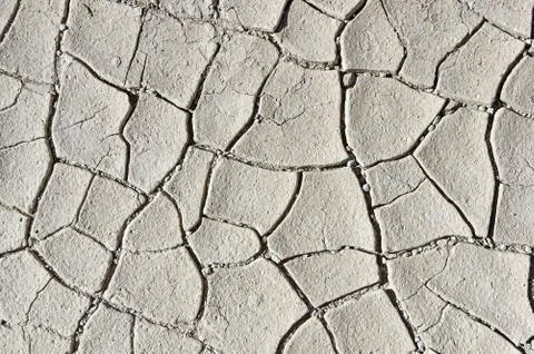 Mud Cracks Stock Photos