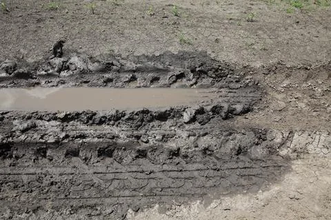 Mud, dirt in field Stock Photos