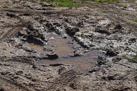 Mud dirt puddle Stock Photos