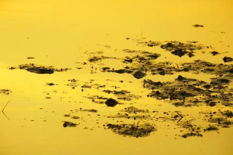 Mud in evening light background Stock Photos