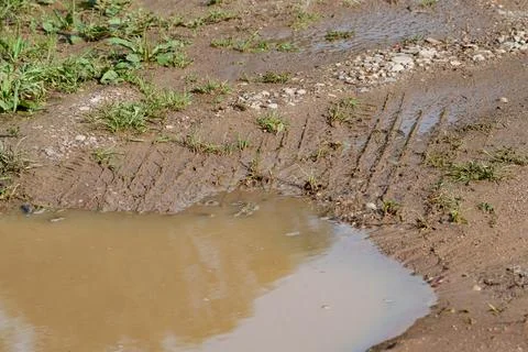 Mud filled roadside puddle with deep tire tracks cutting through wet dirt Stock Photos
