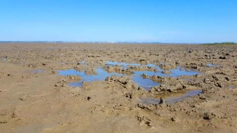 Mud flat by low tide Ebbe Stock Photos