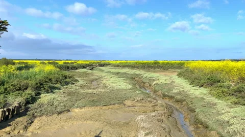 Mud flat at low tide in the natural reserve of Lilleau des Niges, France Stock Footage 246174436