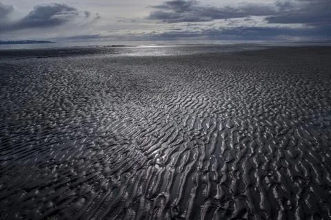Mud flat patterns at low tide Foto stock