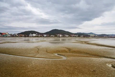 Mud flat Stock Photos