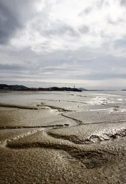 Mud flat Stock Photos