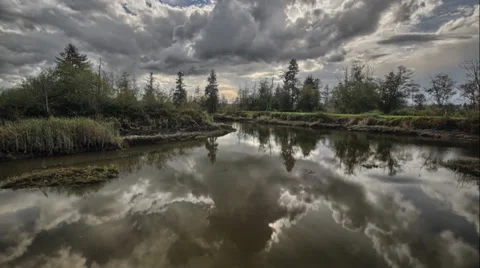 Mud Flats Stock Footage 33300161