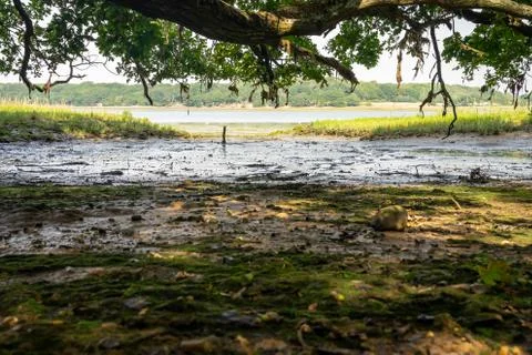Mud flats at low tide Stock Photos