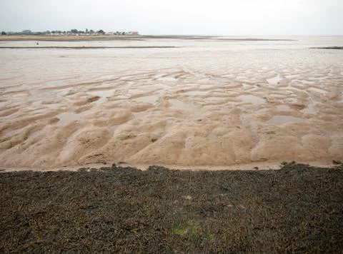 Mud flats pattern with seaweed in front Foto stock