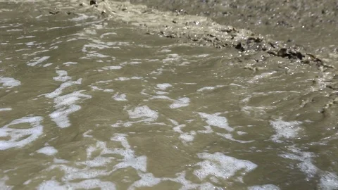 Mud Stock Footage 87277271