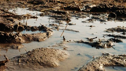 Mud Stockbeeldmateriaal 165868046