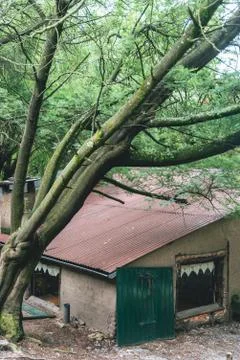 Mud house with big windows inside a forest Stock Photos