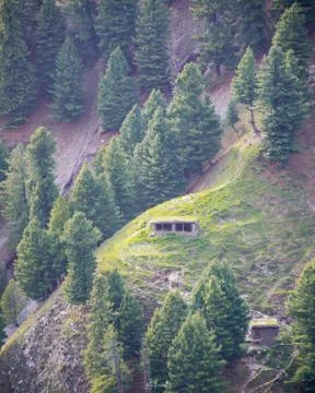 A Mud house in the middle of trees Stock Photos