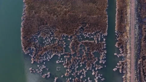 Mud Lake, Idaho Stock Footage 171134415