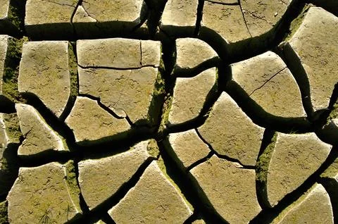 Mud patterns Stock Photos