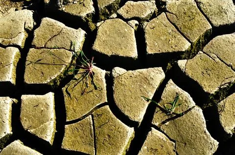 Mud patterns Stock Photos