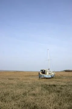 In the mud Stock Photos