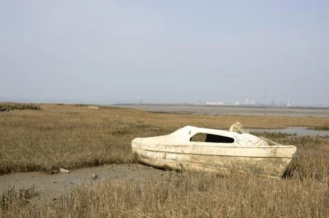In the mud Stock Photos