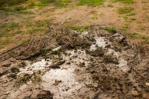 The mud Stock Photos